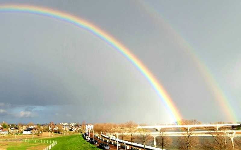 Ieder Talent Telt regenboog